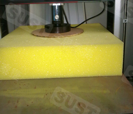 20190621105103_8437.jpg 20190621105103_8437.jpg